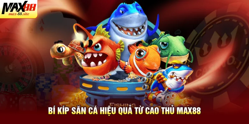 Bí kíp săn thưởng hiệu quả từ cao thủ Max88