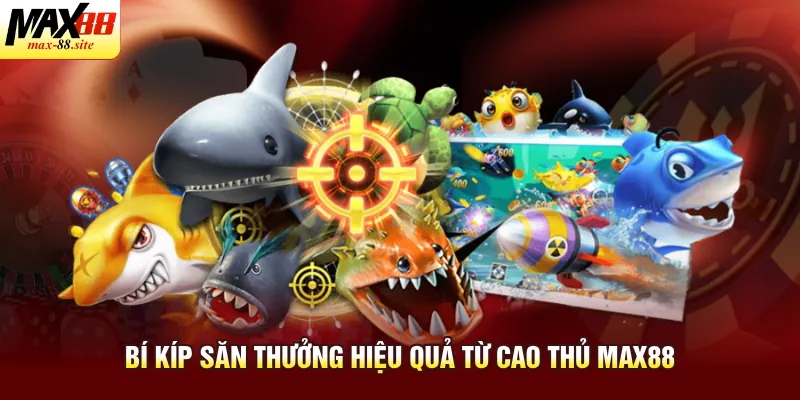 Bí kíp săn cá hiệu quả từ cao thủ Max88