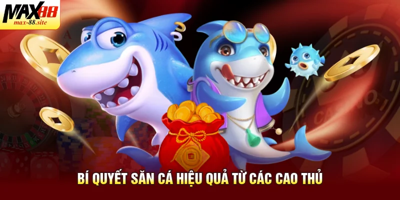 Bí quyết săn cá hiệu quả từ các cao thủ