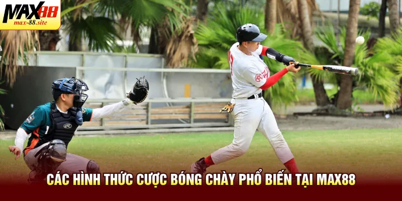 Các hình thức cược bóng chày phổ biến tại Max88