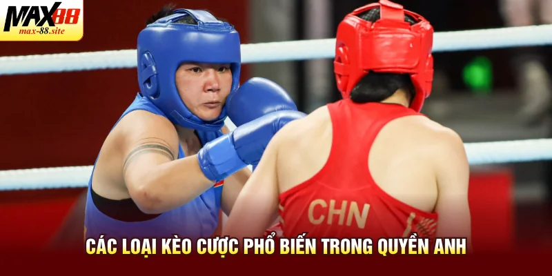 Các loại kèo cược phổ biến trong quyền anh