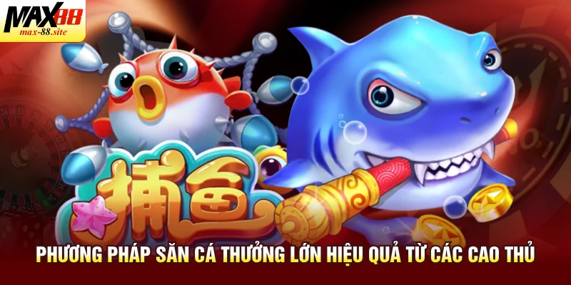 Phương pháp săn cá thưởng lớn hiệu quả từ các cao thủ